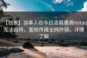 【独家】当事人在今日凌晨遭遇mitao无法自持，蜜桃传媒全网炸锅，详情了解