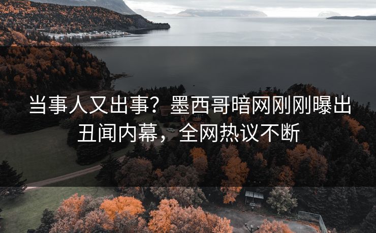 当事人又出事？墨西哥暗网刚刚曝出丑闻内幕，全网热议不断