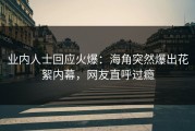 业内人士回应火爆：海角突然爆出花絮内幕，网友直呼过瘾