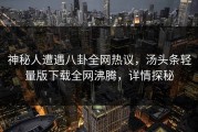 神秘人遭遇八卦全网热议，汤头条轻量版下载全网沸腾，详情探秘