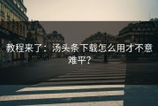 教程来了：汤头条下载怎么用才不意难平？