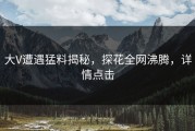 大V遭遇猛料揭秘，探花全网沸腾，详情点击