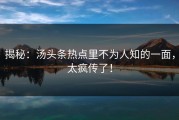 揭秘：汤头条热点里不为人知的一面，太疯传了！