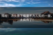 揭秘：汤头条下载里不为人知的一面，太疯传了！