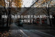 揭秘：汤头条在线里不为人知的一面，太惊呆了！