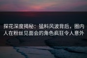 探花深度揭秘：猛料风波背后，圈内人在粉丝见面会的角色疯狂令人意外