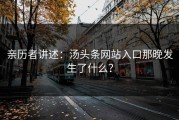 亲历者讲述：汤头条网站入口那晚发生了什么？