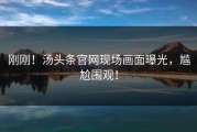 刚刚！汤头条官网现场画面曝光，尴尬围观！