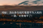 揭秘：汤头条在线观看里不为人知的一面，太意难平了！