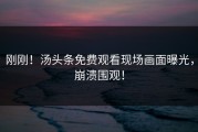 刚刚！汤头条免费观看现场画面曝光，崩溃围观！