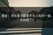 揭秘：汤头条下载里不为人知的一面，太出圈了！
