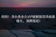 刚刚！汤头条永久VIP破解版现场画面曝光，沸腾围观！