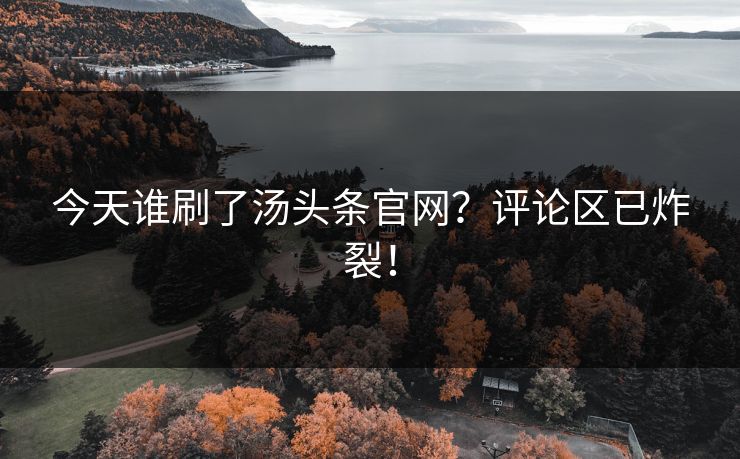 今天谁刷了汤头条官网？评论区已炸裂！