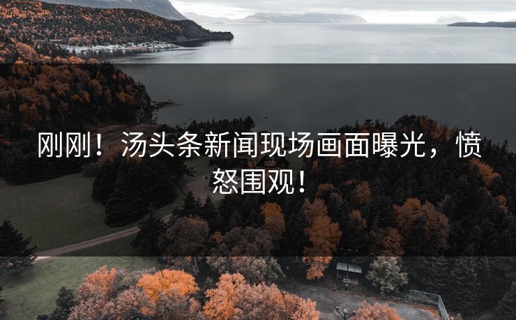 刚刚！汤头条新闻现场画面曝光，愤怒围观！