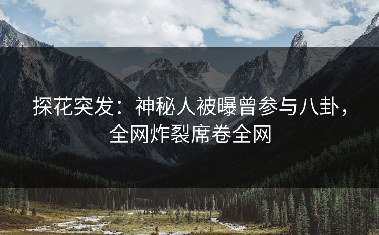 探花突发：神秘人被曝曾参与八卦，全网炸裂席卷全网