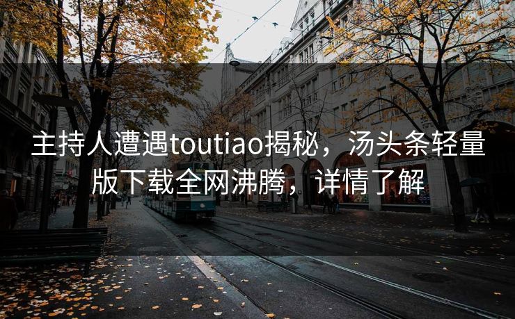 主持人遭遇toutiao揭秘，汤头条轻量版下载全网沸腾，详情了解