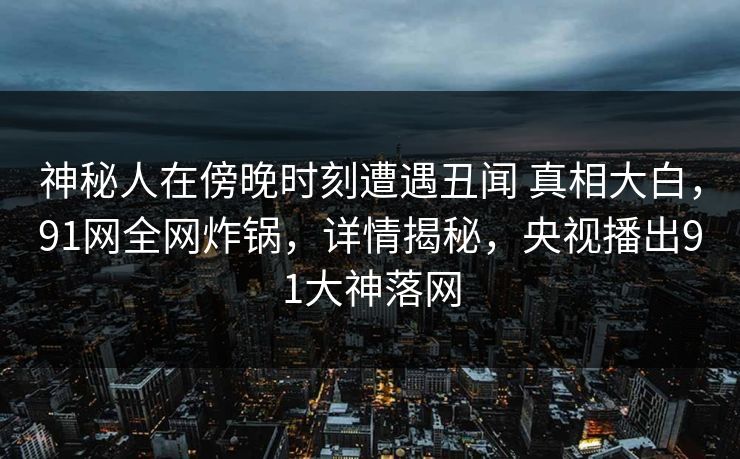 神秘人在傍晚时刻遭遇丑闻 真相大白，91网全网炸锅，详情揭秘，央视播出91大神落网